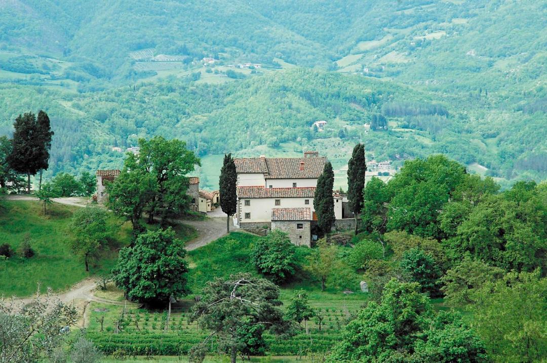 Photo of Others in Dicomano