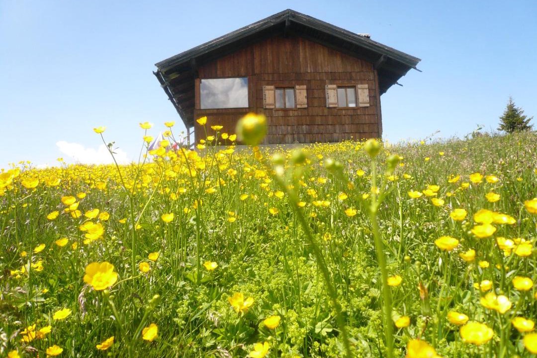 Photo of Buildings in Barbiano