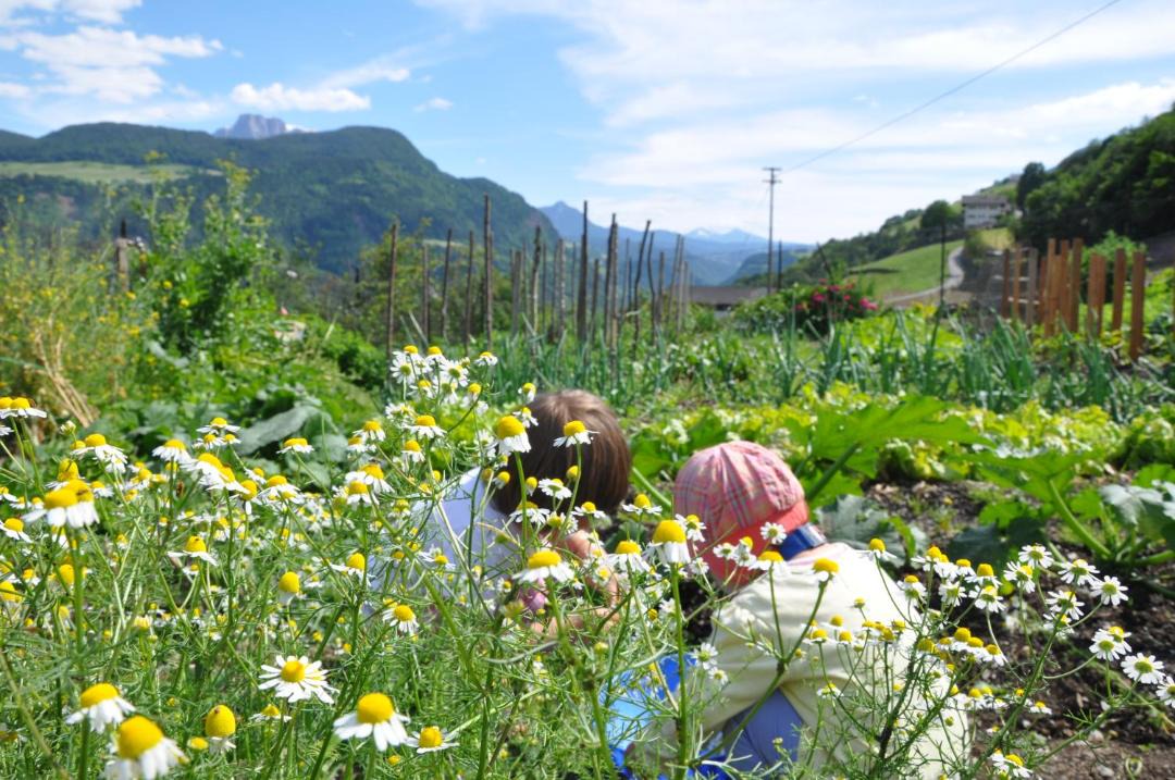 Photo of Others in Barbiano
