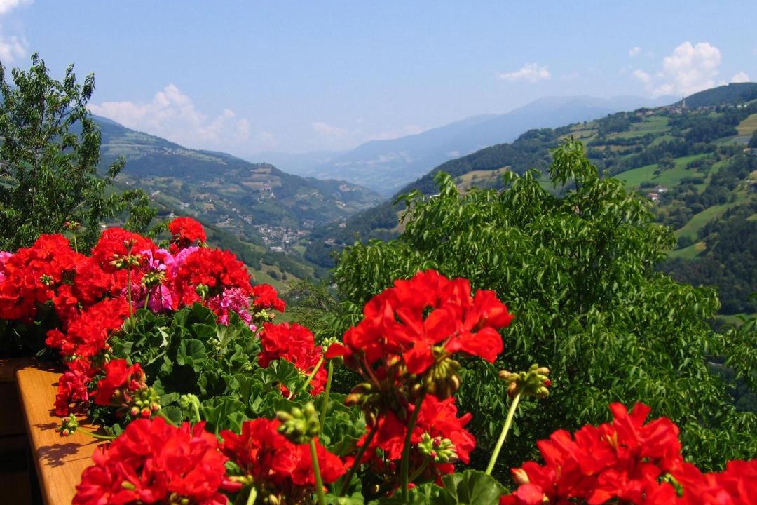 Photo of Outdoor in Barbiano