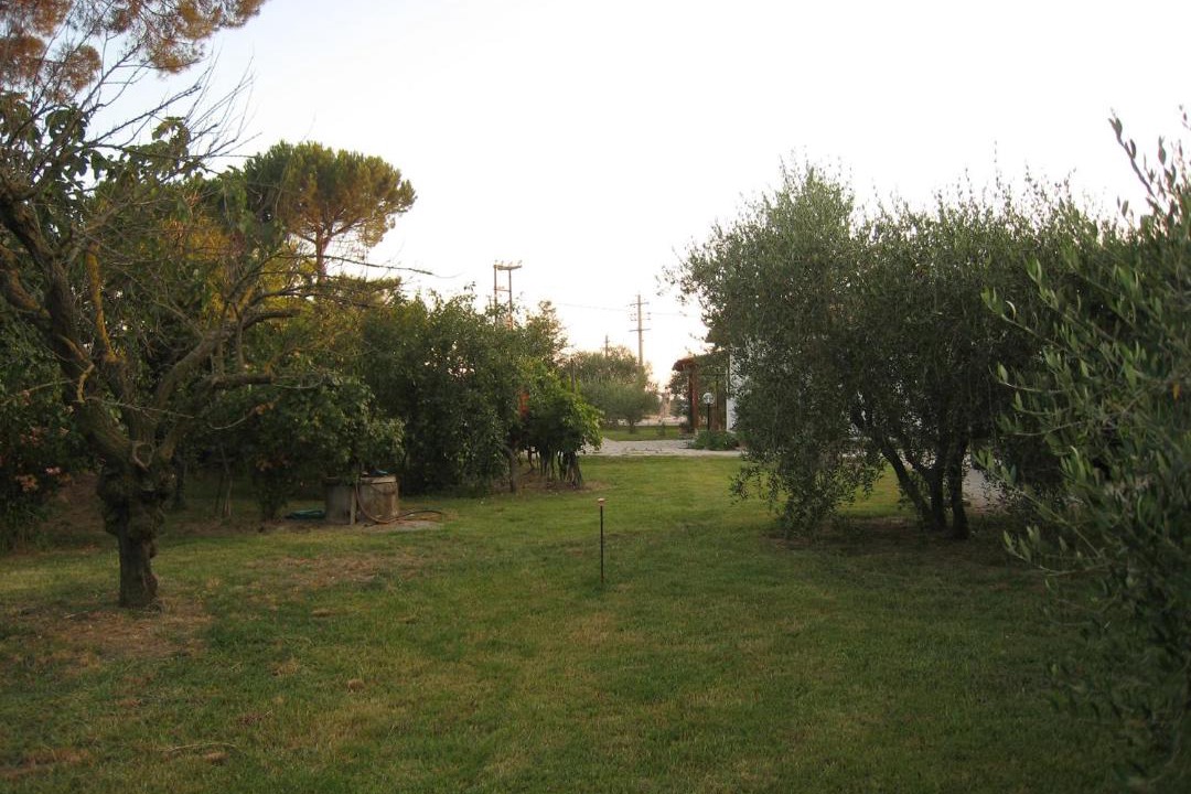 Photo of Others in Castiglione del Lago