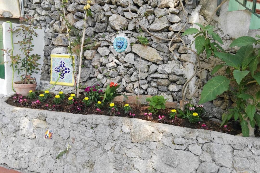 Photo of Others in Erchie