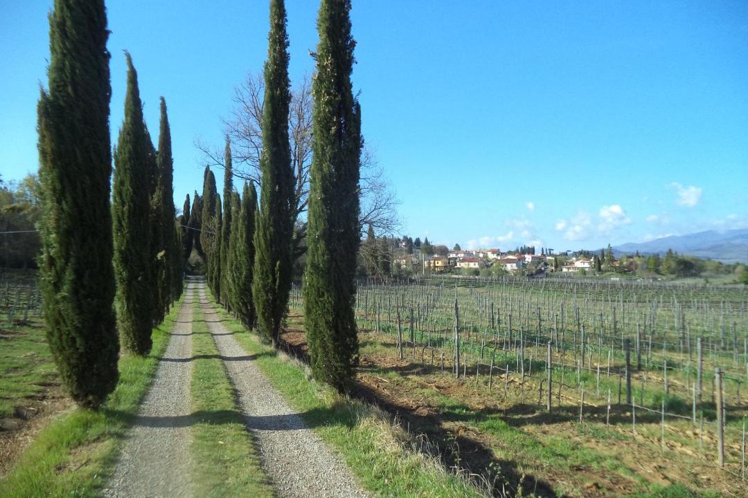 Photo of Others in Arezzo