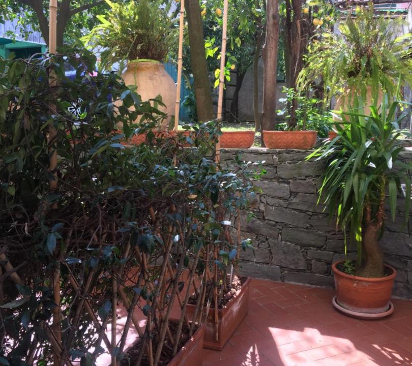 Photo of Others in Levanto
