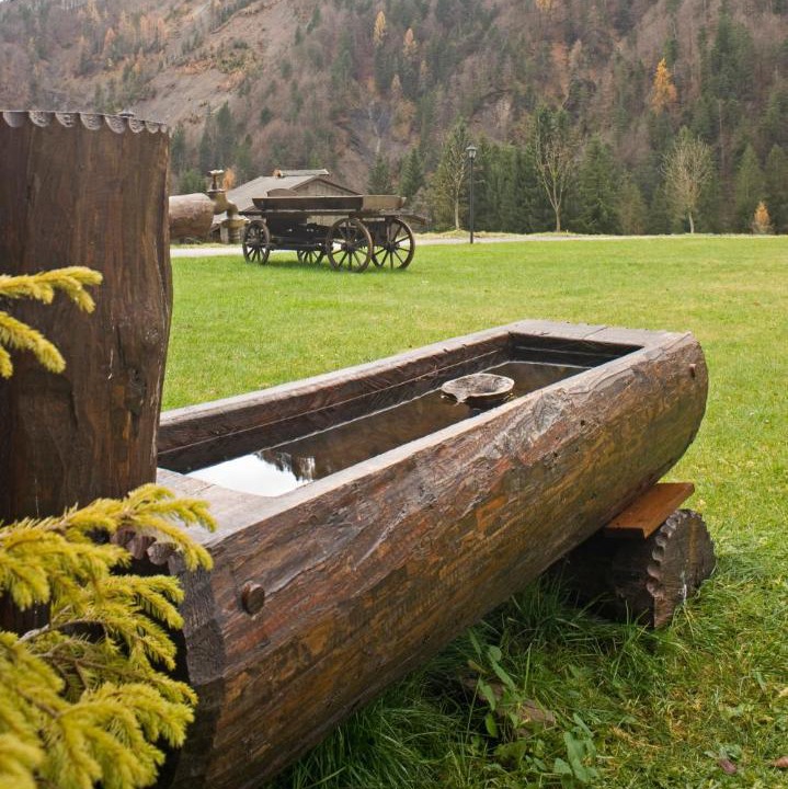 Photo of Others in Sauris di Sotto