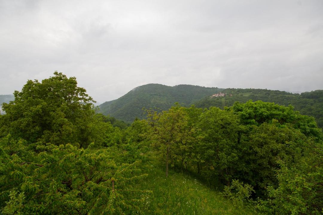 Photo of Others in Polizza