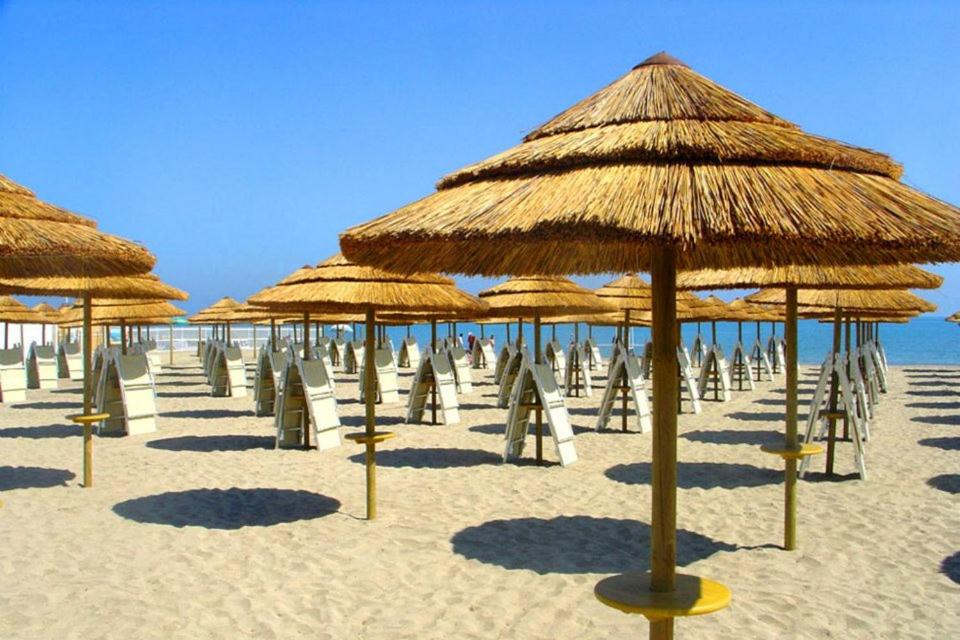 Photo of Others in Barletta