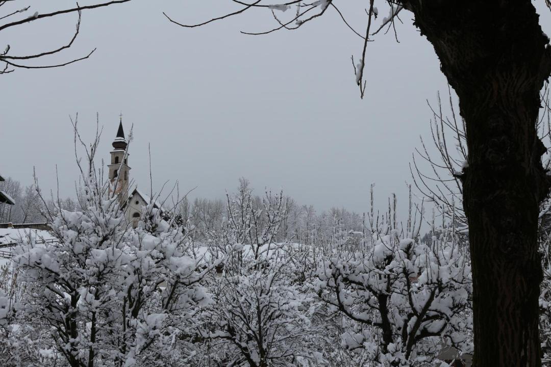 Photo of Others in Primiero San Martino di Castrozza