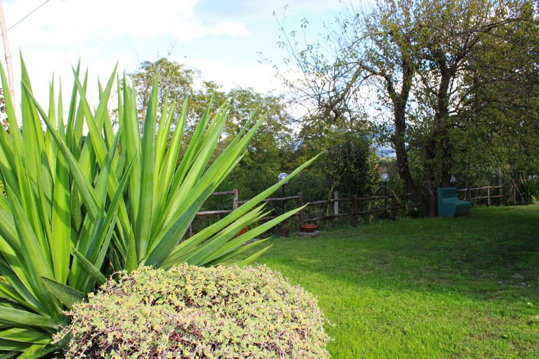 Photo of Others in Teano