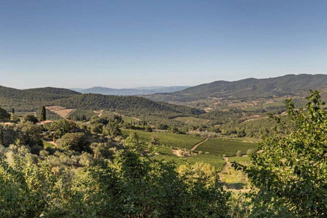 Photo of Others in Panzano in Chianti