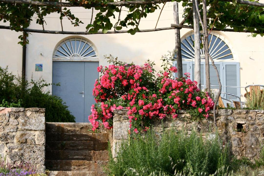 Photo of Others in Massa Marittima