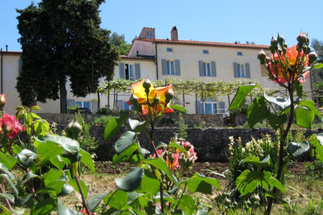 Photo of Others in Massa Marittima