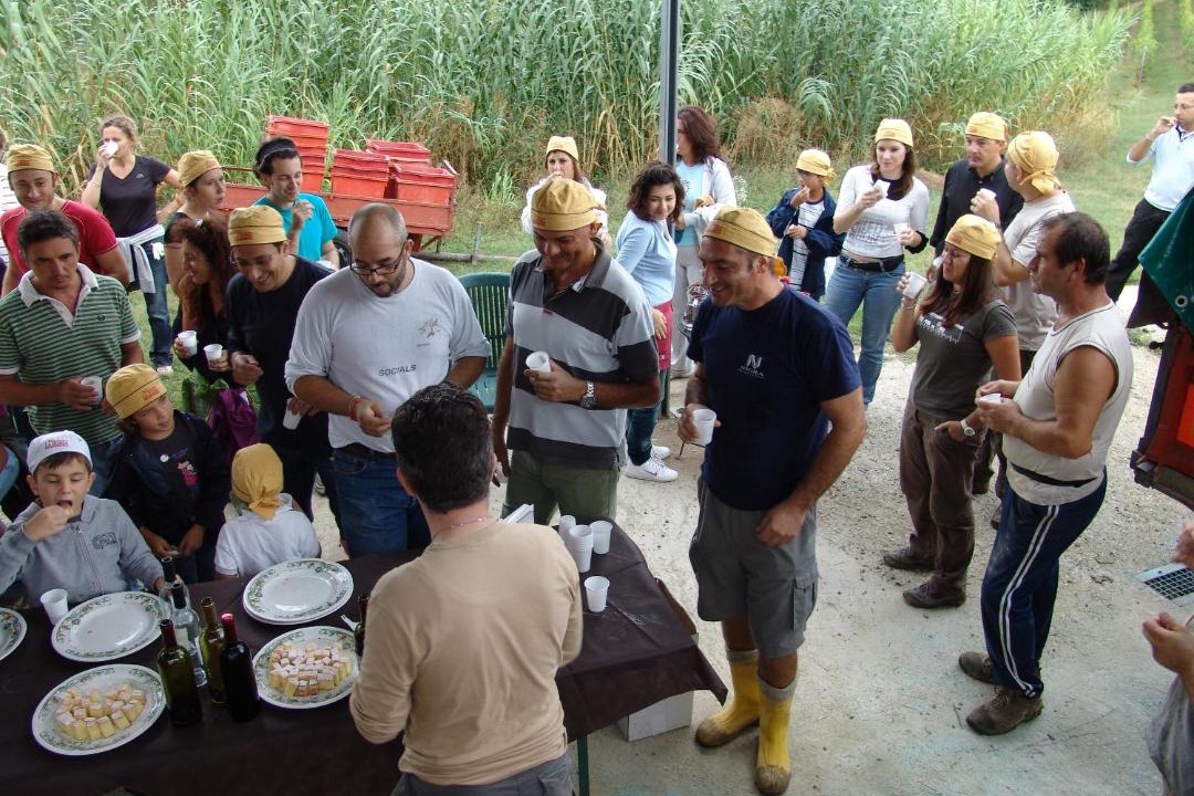 Photo of Others in Morsasco