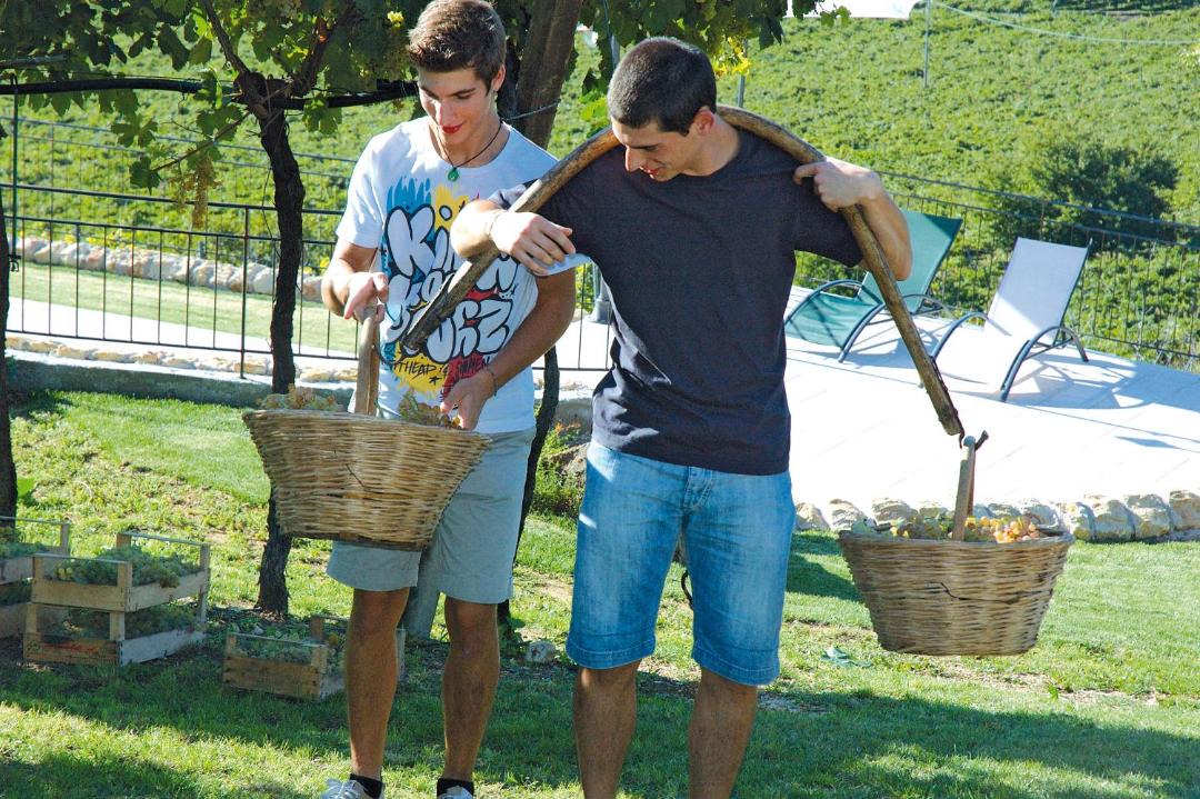 Photo of Others in Soave