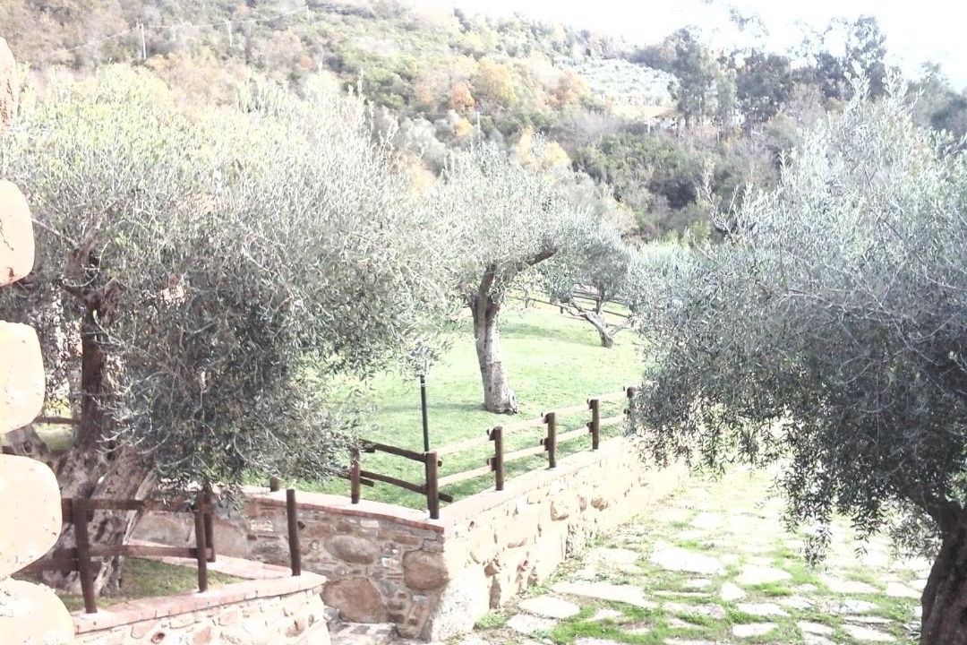 Photo of Others in Cicerale