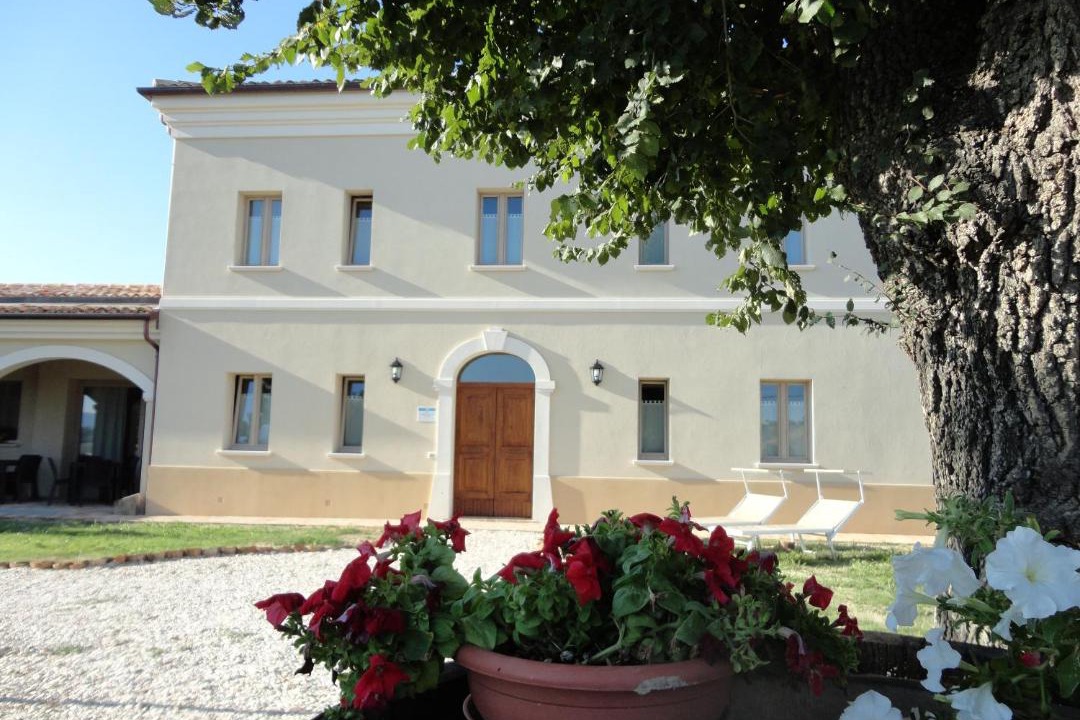 Photo of Others in Montemaggiore al Metauro