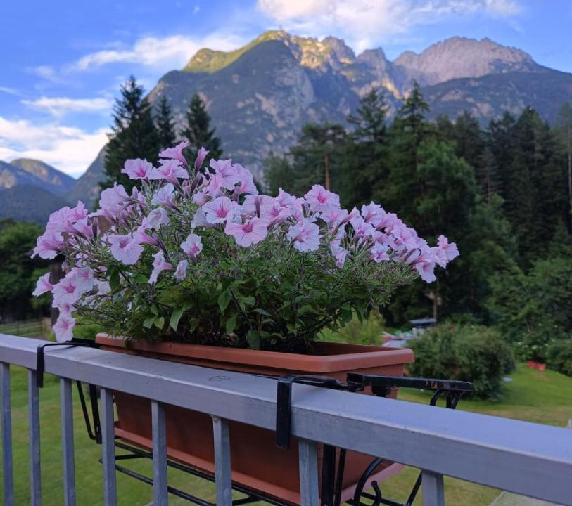 Photo of Others in Vigo di Cadore