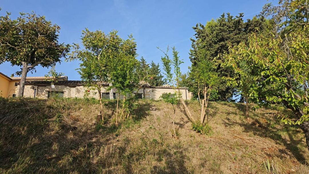 Photo of Others in Falerone