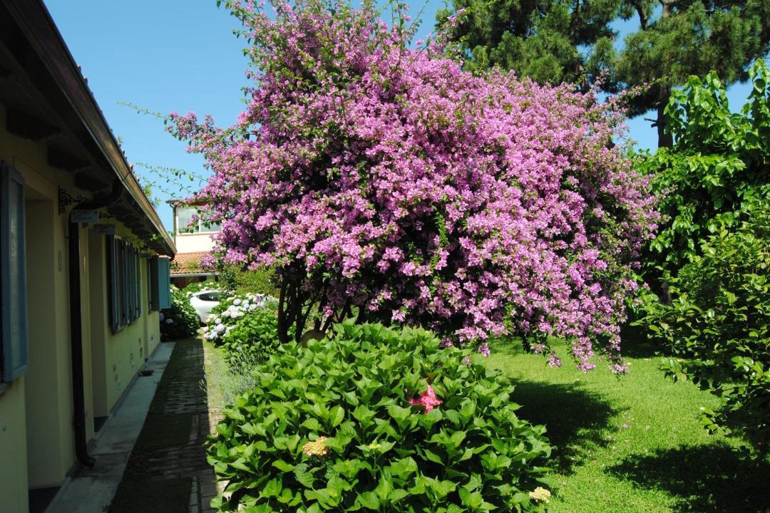 Photo of Others in San Ferdinando