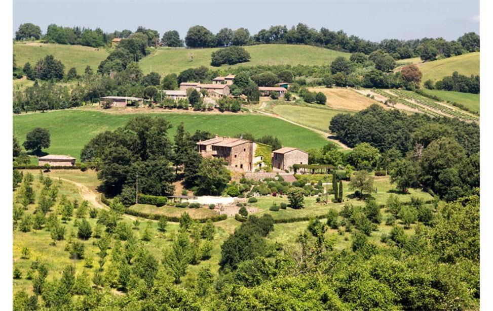Photo of Others in Montalcinello