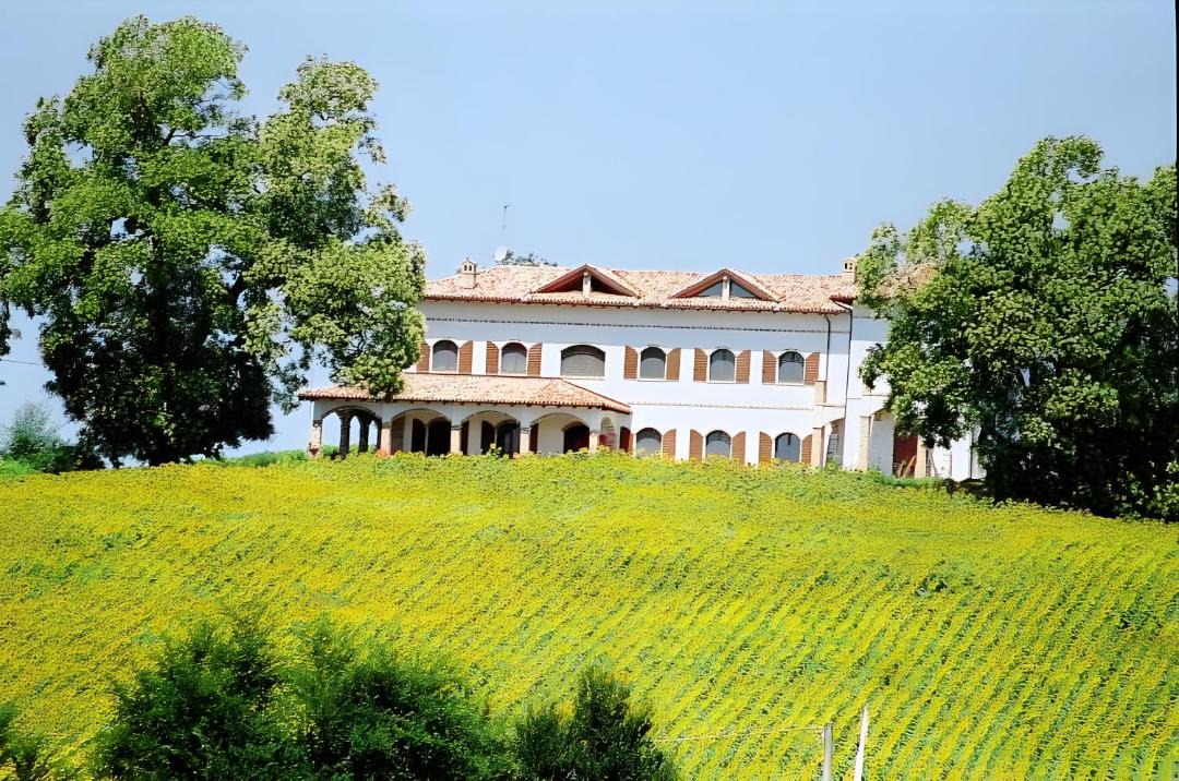 Photo of Others in Castelletto Merli