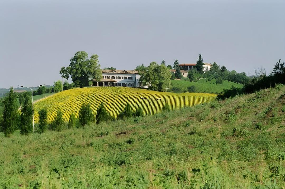 Photo of Others in Castelletto Merli