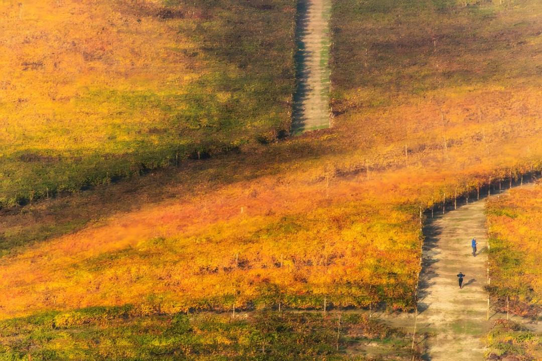 Photo of Human In Picture in Castelletto Merli