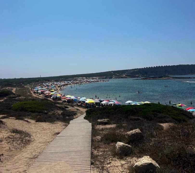 Photo of Others in Riola Sardo