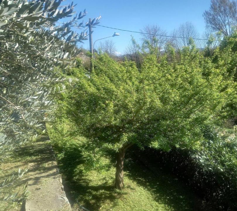 Photo of Outdoor in Burolo