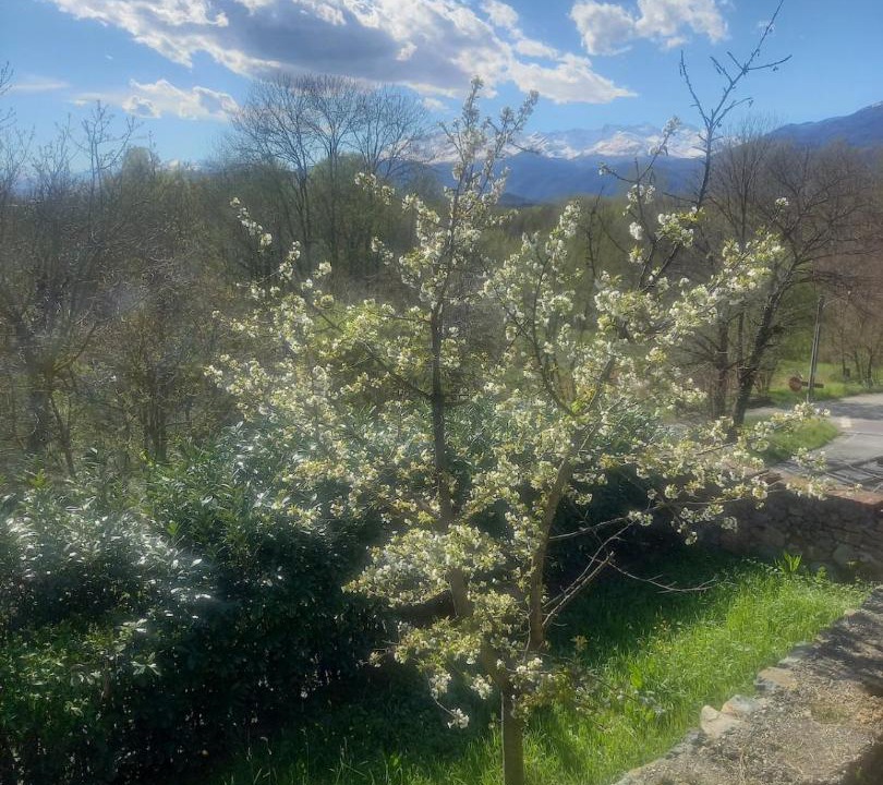Photo of Outdoor in Burolo