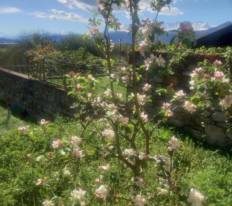 Photo of Outdoor in Burolo