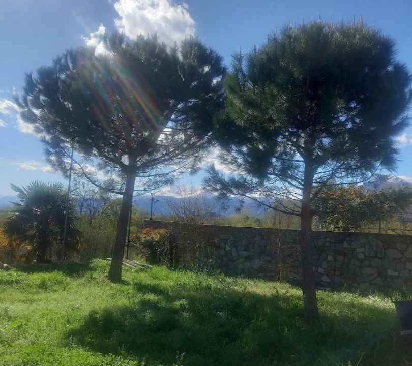 Photo of Others in Burolo