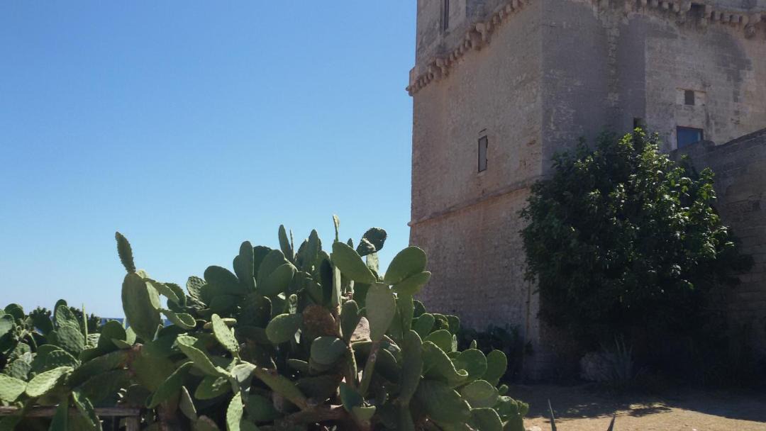 Photo of Others in Torre Colimena