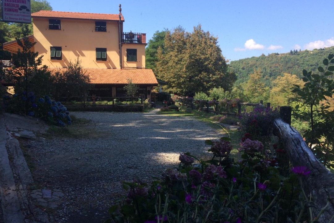 Photo of Others in Borzonasca