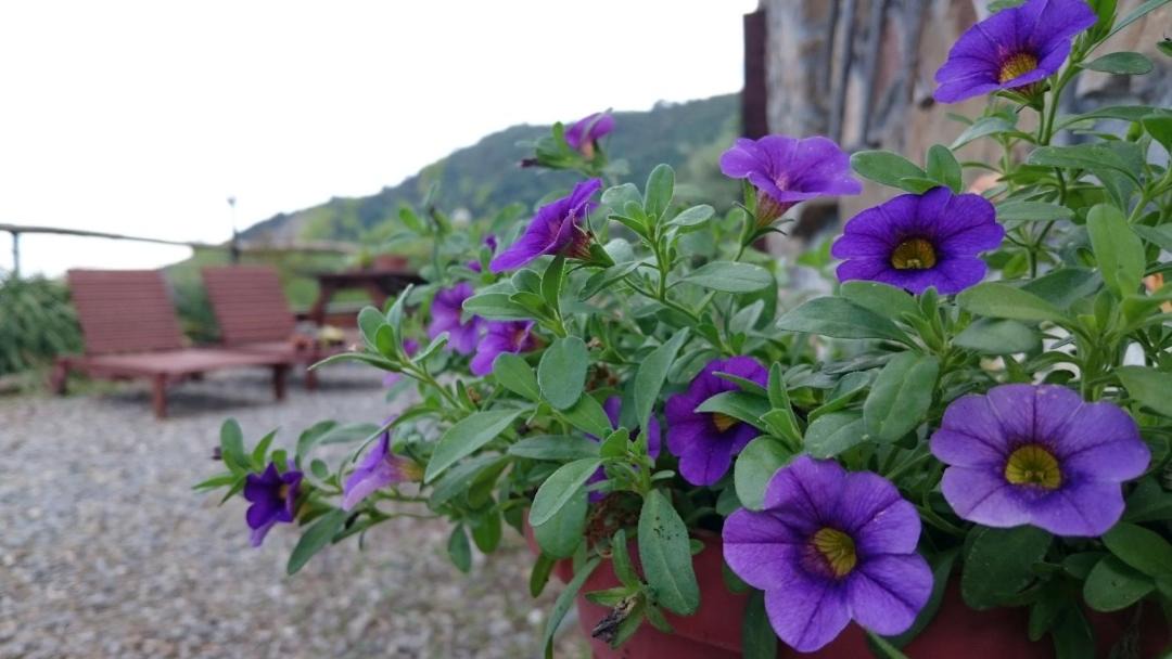 Photo of Others in Pigna