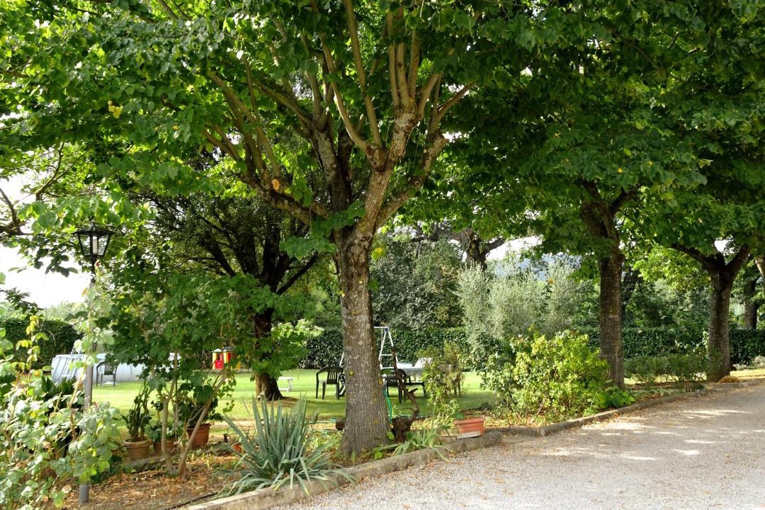 Photo of Others in Ferretto