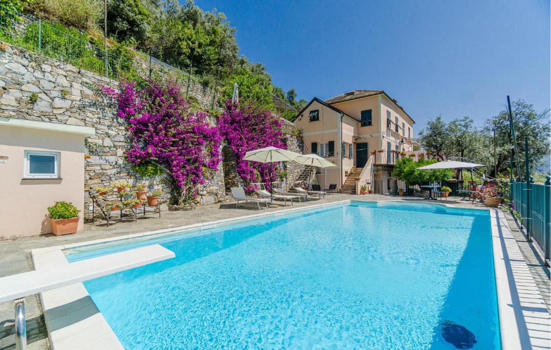 Photo of Others in Recco