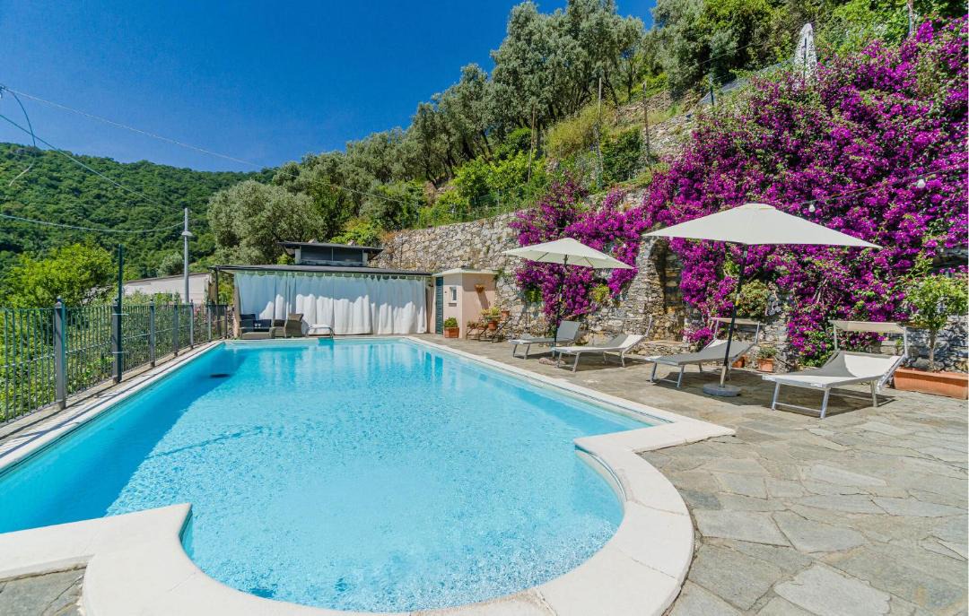 Photo of Others in Recco