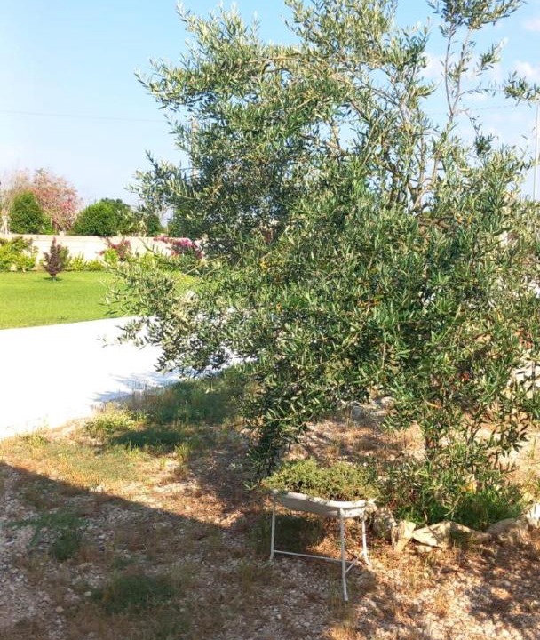 Photo of Outdoor in Maglie