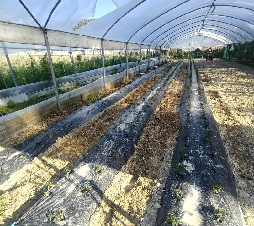 Photo of Outdoor in Mandatoriccio