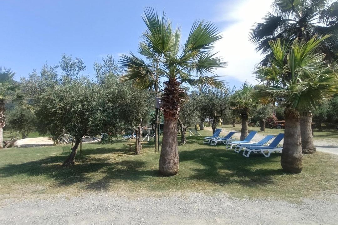 Photo of Others in Mandatoriccio