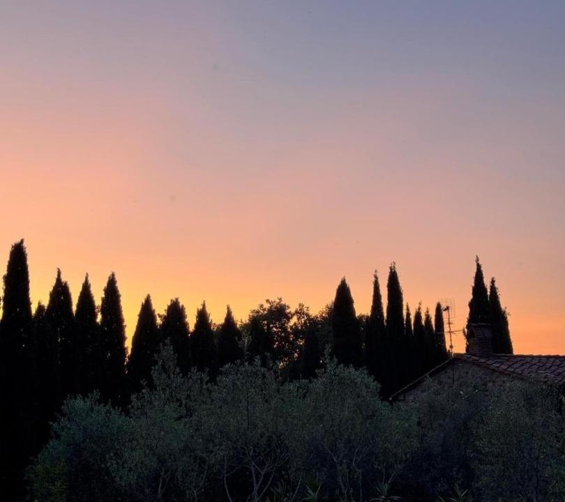 Photo of Others in Castelnuovo di Val di Cecina