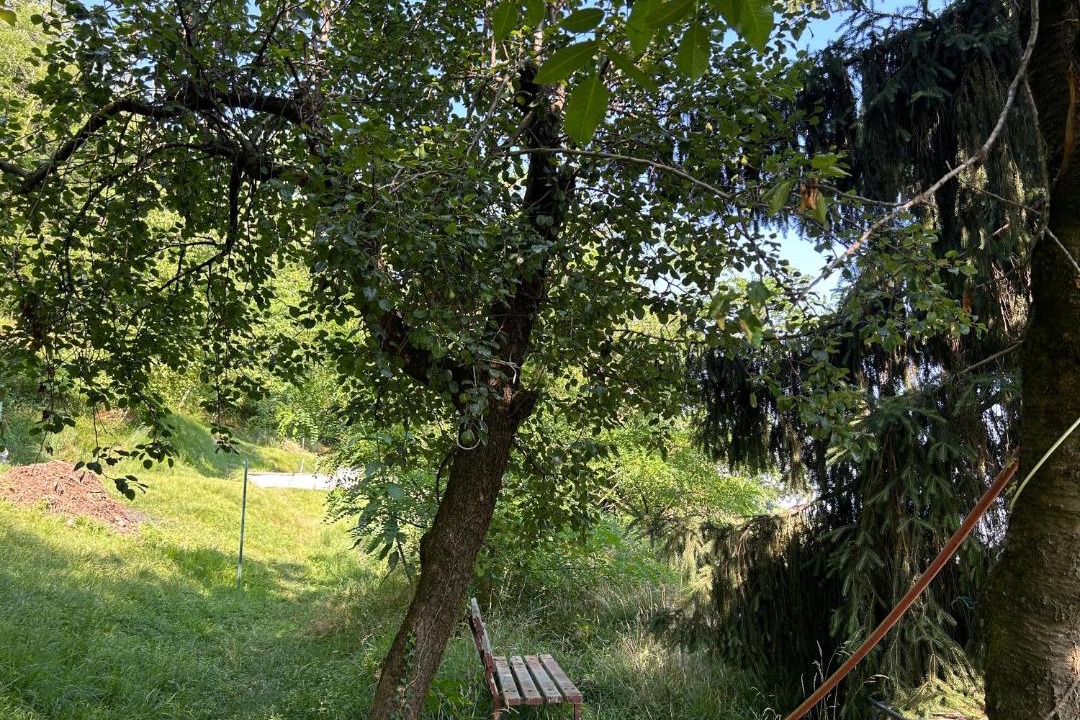 Photo of Others in Tavernerio