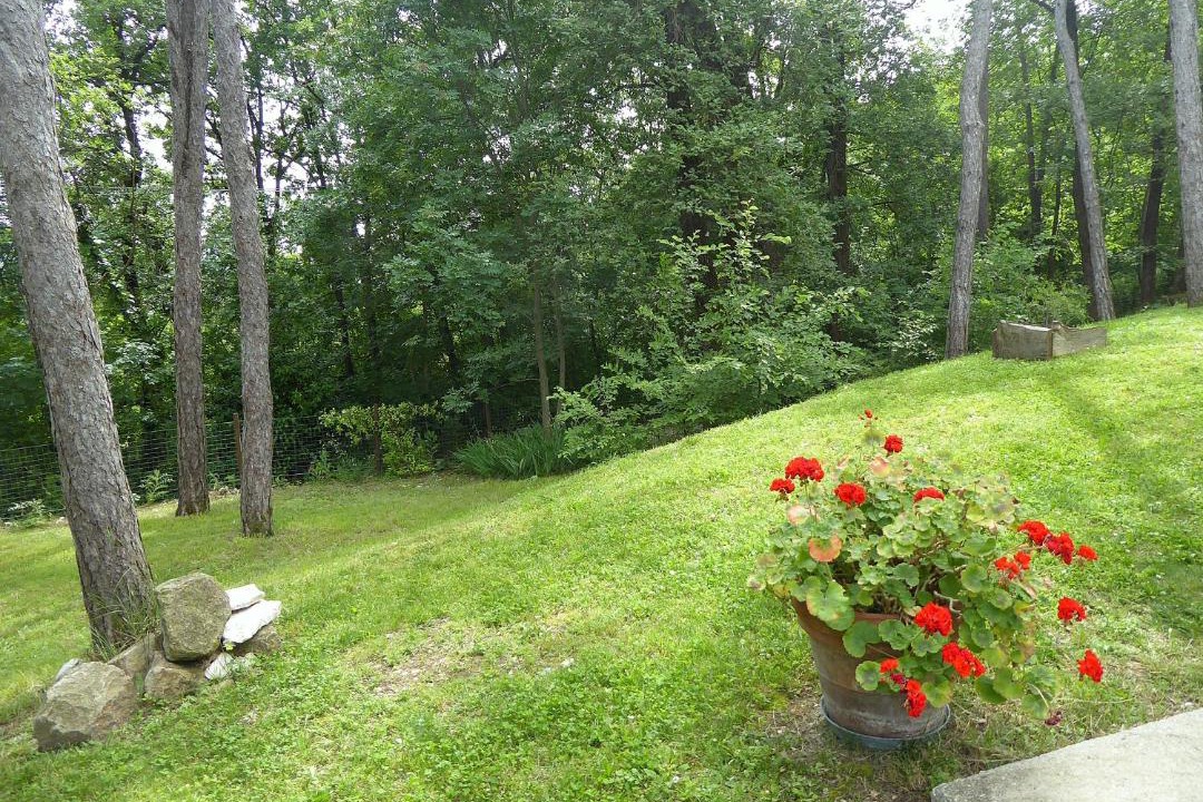 Photo of Others in Teolo