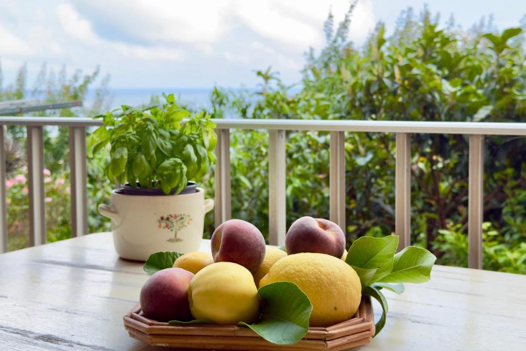 Photo of Patio Balcony in Savona