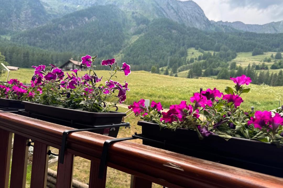 Photo of Patio Balcony in Antagnod