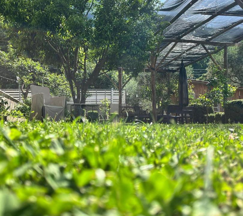 Photo of Outdoor in Piazza-Tralia-Pendolo
