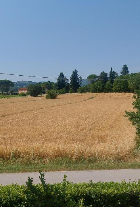 Photo of Others in Cantalupo