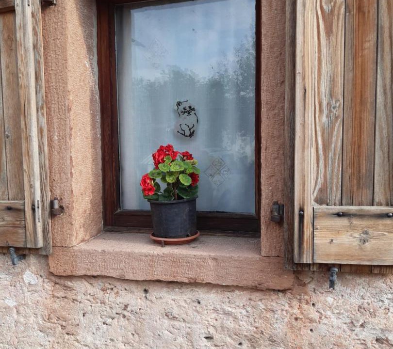 Photo of Others in Ponte nelle Alpi