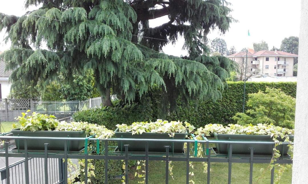 Photo of Others in Lentate sul Seveso